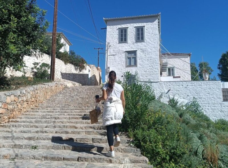 Hydra Island Private tour from Athens with your own guide - The Art & Culture of Hydra