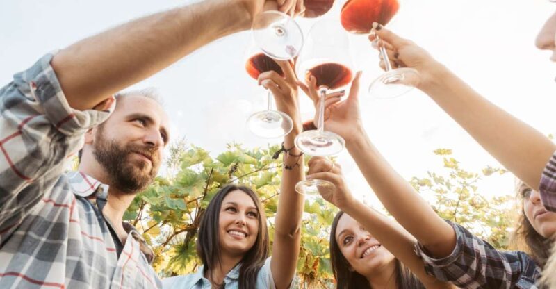 ian: Organic Winery Tour and Tasting Experience - Final Thoughts