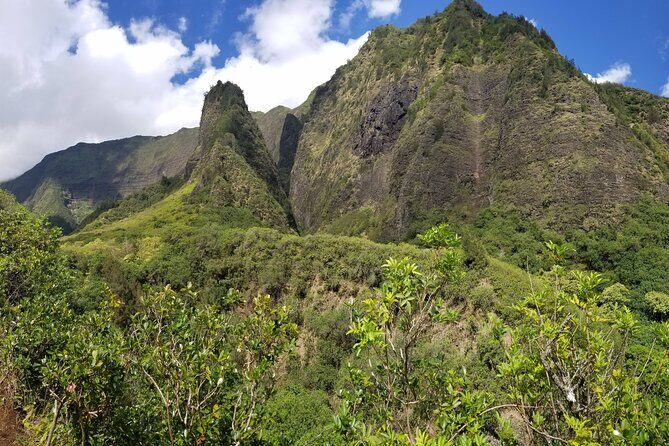 Iao Valley Nature Walk - An In-Depth Look at the Iao Valley Nature Walk