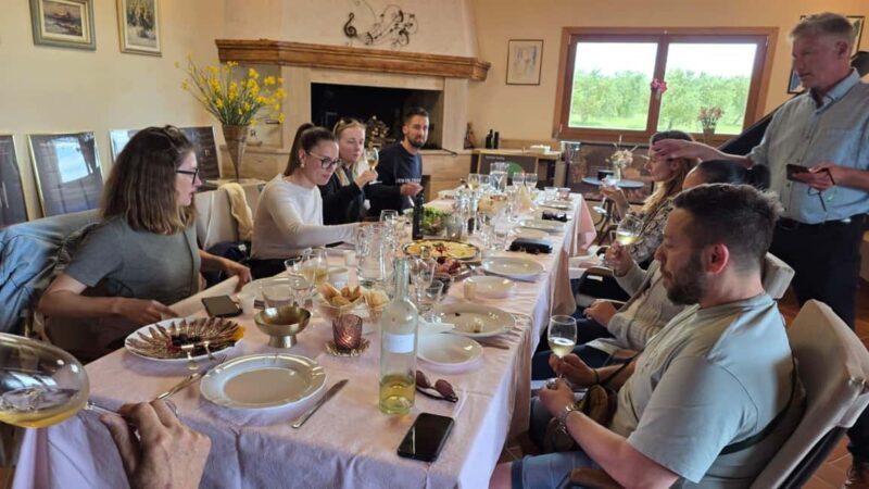 ibenik or Zadar: Krka falls, olive mill, oil & wine tasting - Exploring the Heart of Dalmatia: The Full Itinerary