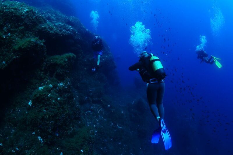 Ibiza: 3.5-Day PADI Open Water Dive Course - Key Points