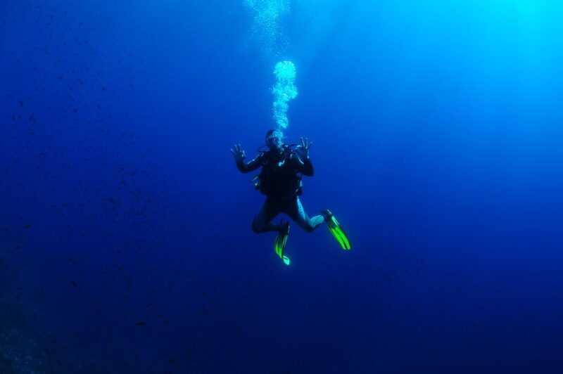 Ibiza: 3.5-Day PADI Open Water Dive Course - Who Will Love This Experience?