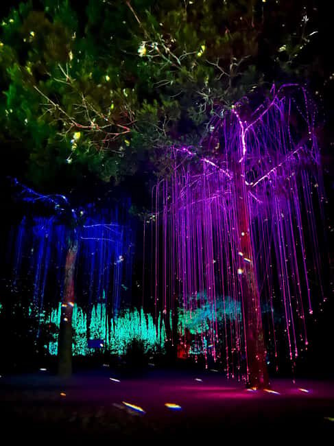 IBIZA: Astro Magic Lights at Bibo Park - Key Points