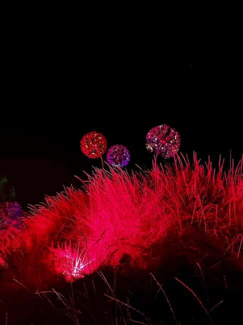 IBIZA: Astro Magic Lights at Bibo Park - A Deep Dive into the Experience