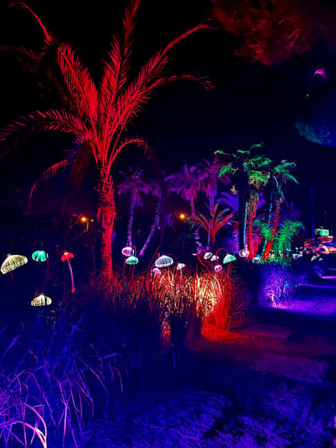 IBIZA: Astro Magic Lights at Bibo Park - The Sum Up