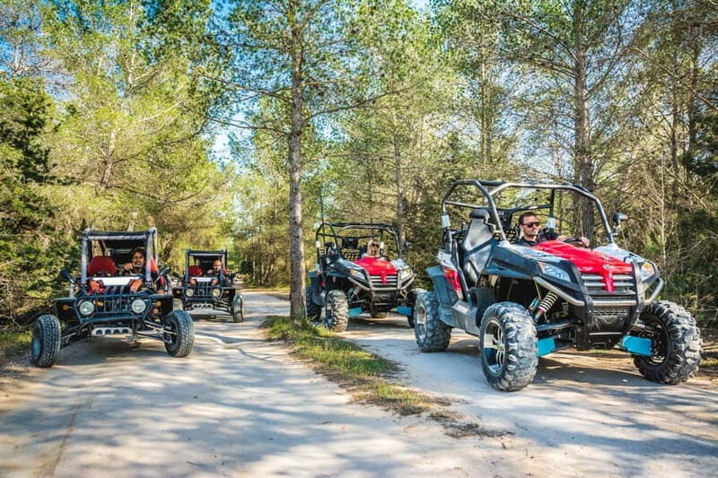 Ibiza: Buggy Excursion to Explore Beaches and Unique Views - Practical Tips for Booking & Participation