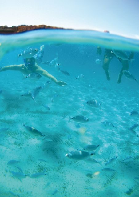 Ibiza: Classic Full or Half-Day Boat Charter - Who Will Love This Experience?