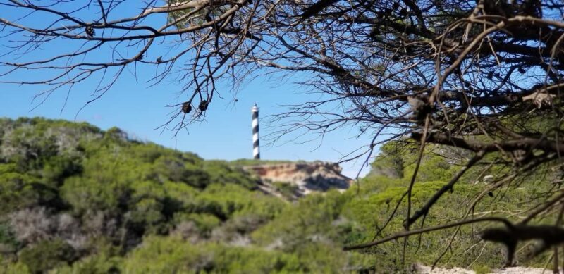 Ibiza: Crystal Coast Walk with Swim Stop - Practical Tips for Making the Most of Your Tour