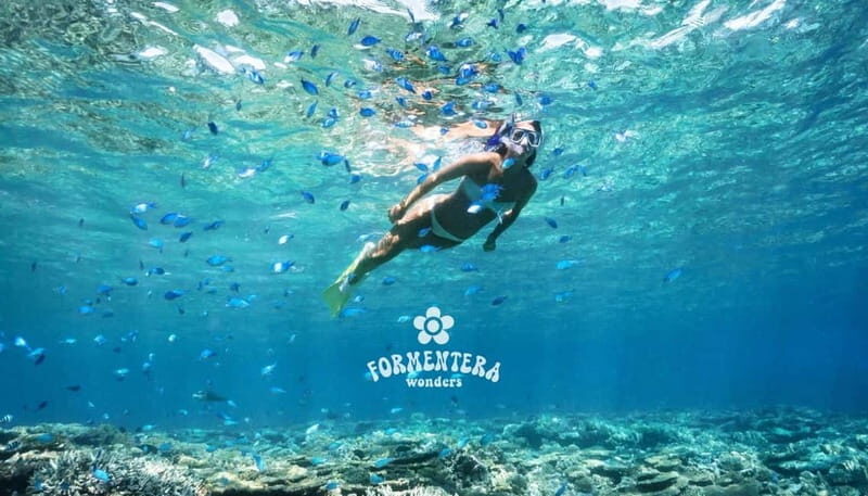Ibiza: Formentera Cruise with Paella, OpenBar & Water Sports - Key Points