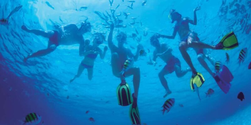 Ibiza: Formentera Trip w/ Paella, BBQ, Open Bar, Sports & DJ - Key Points