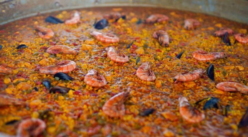 Ibiza: Formentera Trip with Paddle, Snorkel and Lunch - Practical Considerations