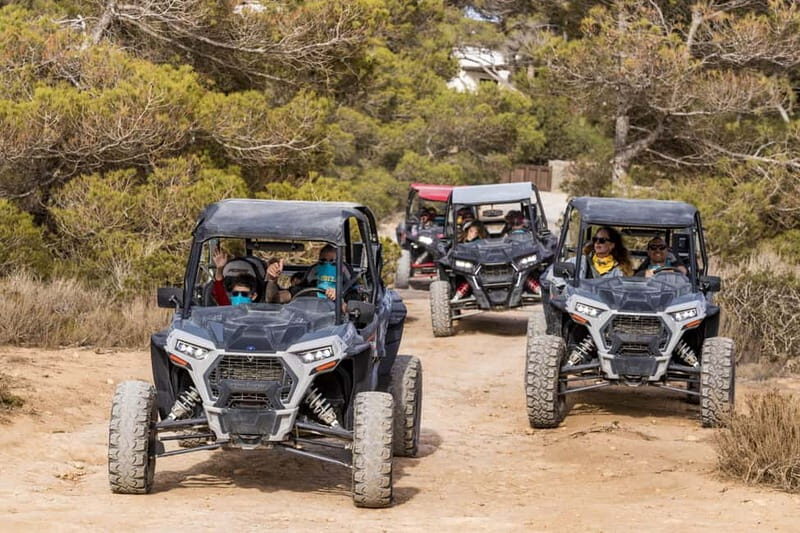 Ibiza: Guided Buggy Tour with Beach Stops - Key Points
