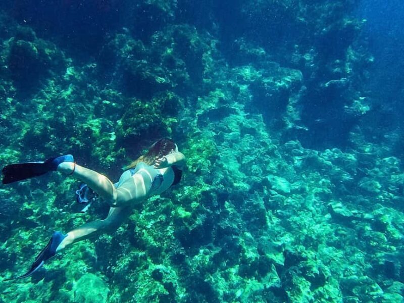 Ibiza: Guided Snorkeling Trip - Who Will Love This Tour?