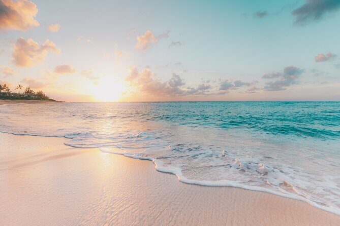 Ibiza 'Hidden Gems' by City Break - walking tours made fun! - Pricing and Value