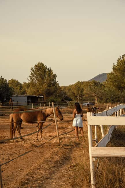 Ibiza: Horseback Ride Nature Experience + Picnic +Transport - Key Points