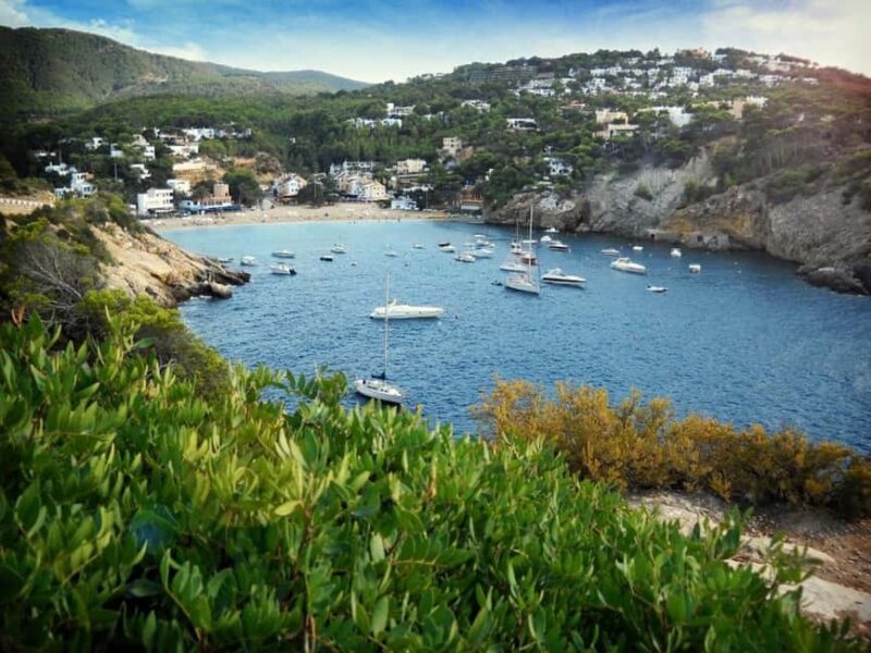 Ibiza: Land & Sea Adventure by BUGGY + PADDLE SURF - Practical Details & What to Bring