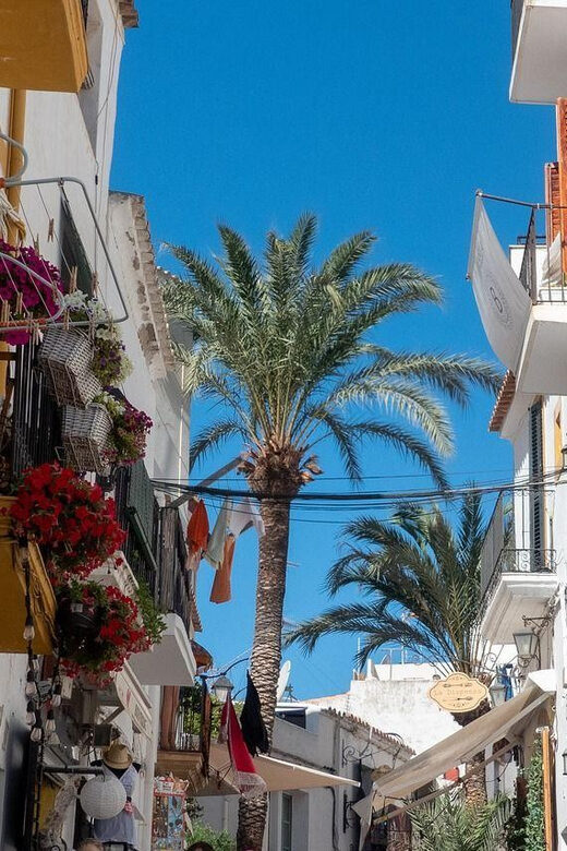 Ibiza old town Private Guided Walking Tour - The Experience in a Nutshell