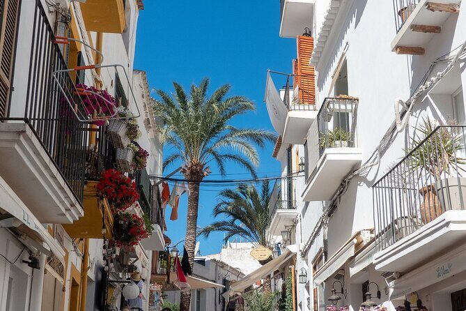 Ibiza old town Private Walking Tour with a Professional Guide - A Deep Dive into the Experience