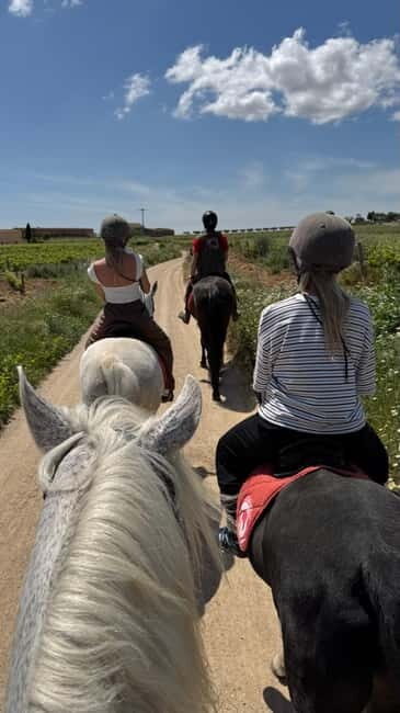 Ibiza: Private Horseback Ride + Transport & Optional Picnic - Key Points