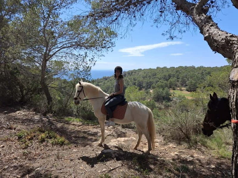 Ibiza: Private Horseback Ride + Transport & Optional Picnic - A Closer Look at the Horseback Ride Experience
