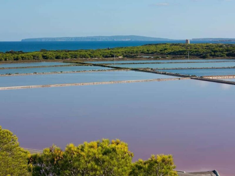 Ibiza: Salt Beds, Es Vedra & Time and Space Half-Day Tour - FAQ