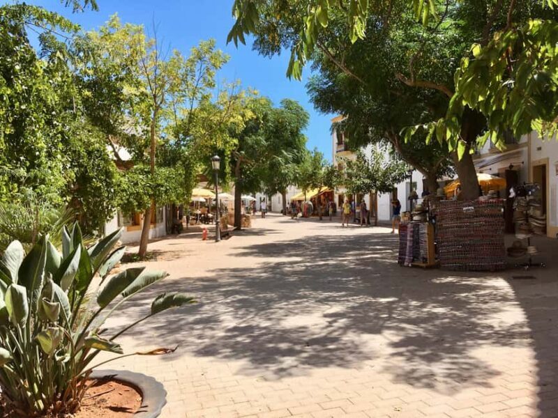 Ibiza shore excursion - Private tour - Transportation and Comfort