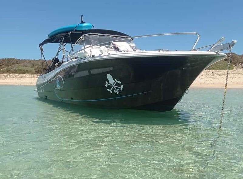 Ibiza: short "north of the island" tour from the sea in a private boat - What Makes This Tour Special