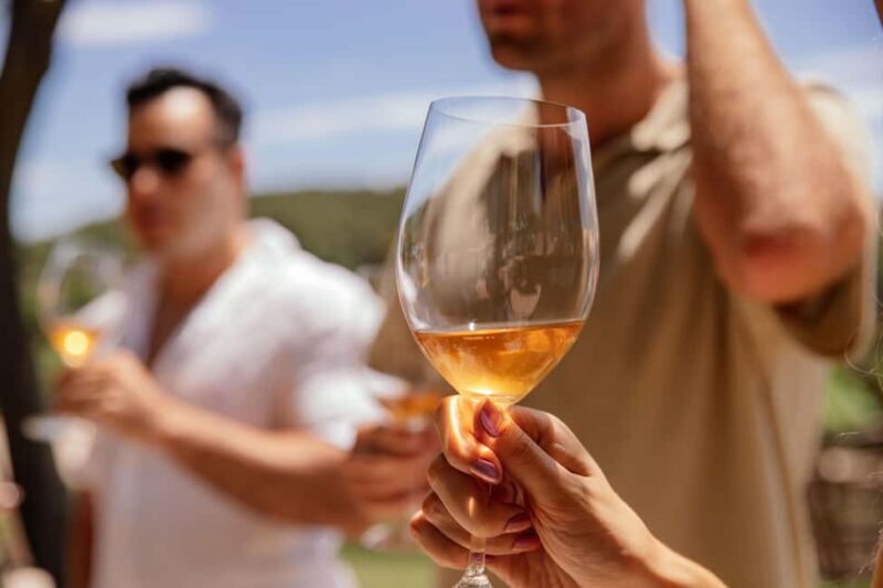 IBIZA Wine Tour: Wine Tasting + TAPAS + Olive Oil+ Transport - FAQ