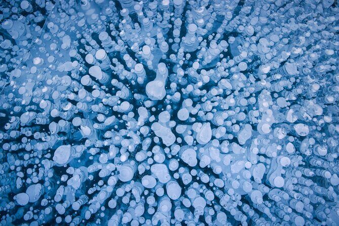 Ice Bubble Adventure on Abraham Lake - Additional Info for Travelers