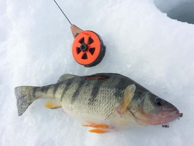 Ice Fishing near Mont-Tremblant - What to Expect During the Tour