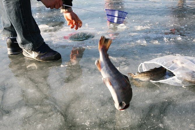 Ice Fishing Tour - Hwacheon Sancheoneo Ice Festival Day Trip from Seoul - Key Points