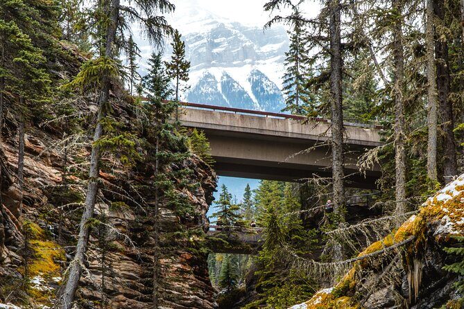 Icefields Parkway: a Smartphone Audio Driving Tour - What’s Not Included & Tips