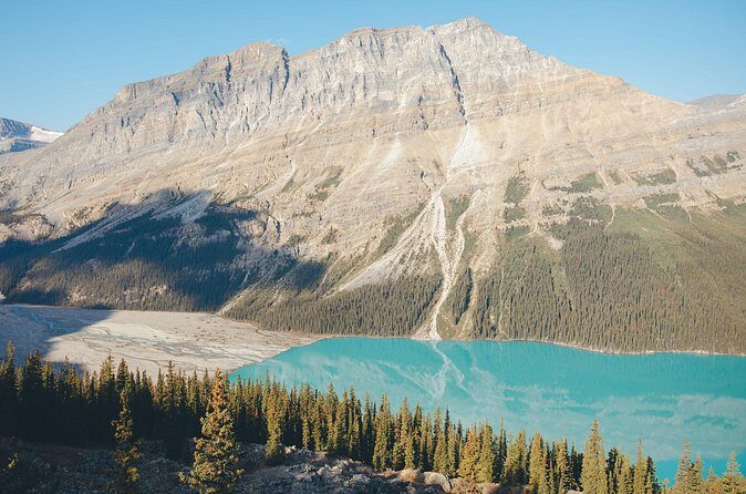 Icefields Parkway Experience - Authentic Experiences: What Travelers Say