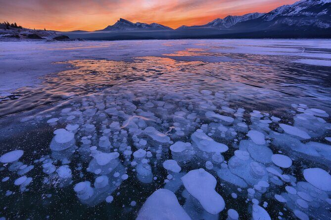Icefields Parkway & Ice Bubbles of Abraham Lake Adventure - Who Would Love This Tour?