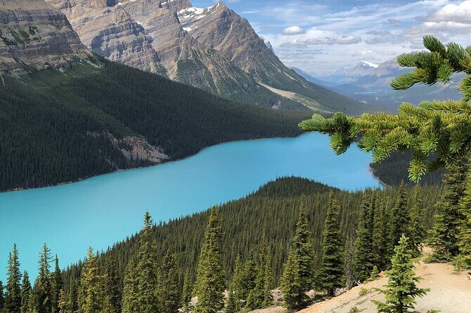 Icefields Pkwy: Lake Louise | Bow | Peyto|Glacier - PRIVATE TOUR - Who Should Consider This Tour?