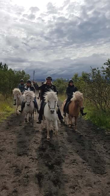 Iceland: Volcanic Landscape Horse Riding Tour - A Genuine Adventure on Iceland’s Volcanic Terrain