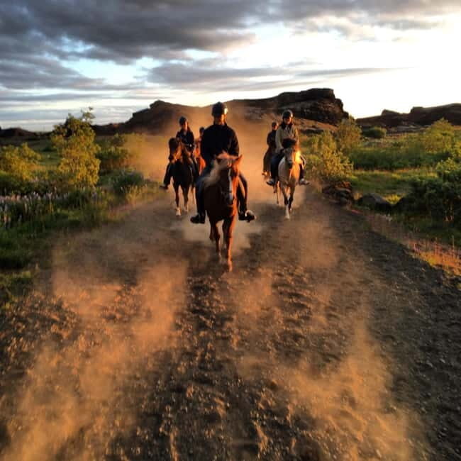 Iceland: Volcanic Landscape Horse Riding Tour - Measuring the Value