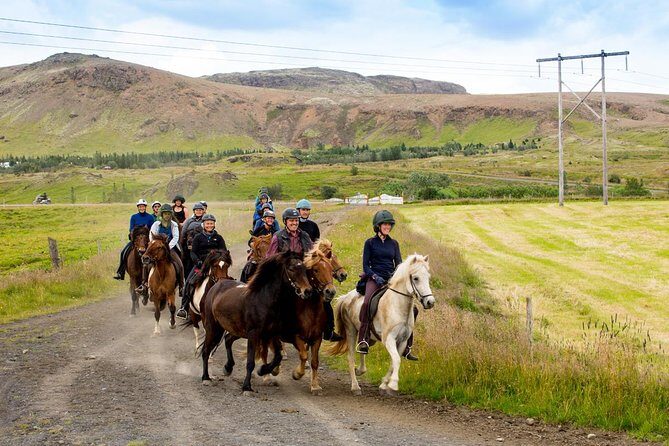 Icelandic Horse Riding and Whale Watching Cruise from Reykjavík - Practical Details & What You Should Know