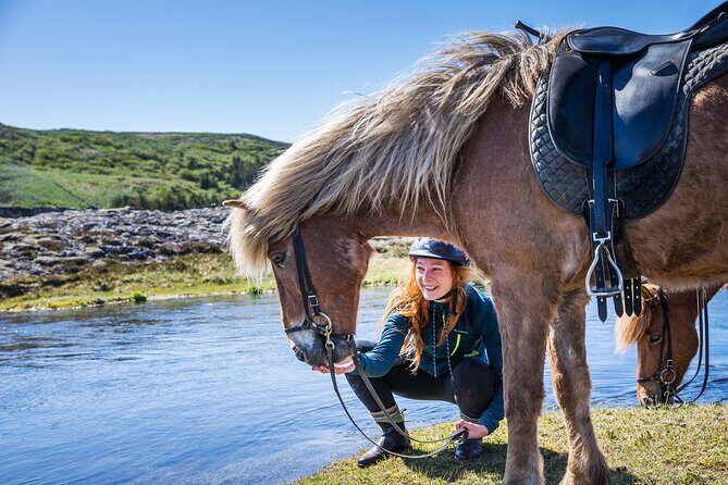 Icelandic Horse Riding and Whale Watching Tour from Reykjavik - Icelandic Horse Riding and Whale Watching Tour from Reykjavik