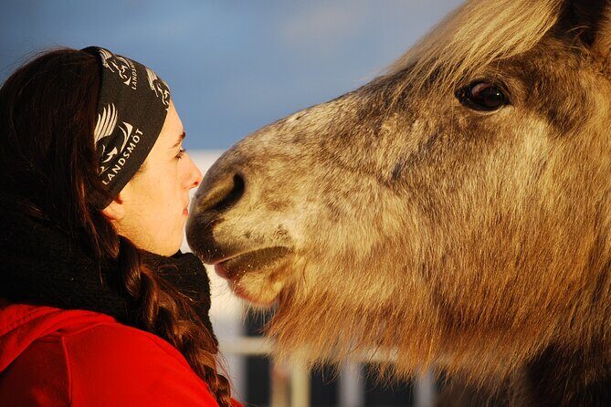 Icelandic Horse Riding and Whale Watching Tour from Reykjavik - The Experience in Detail