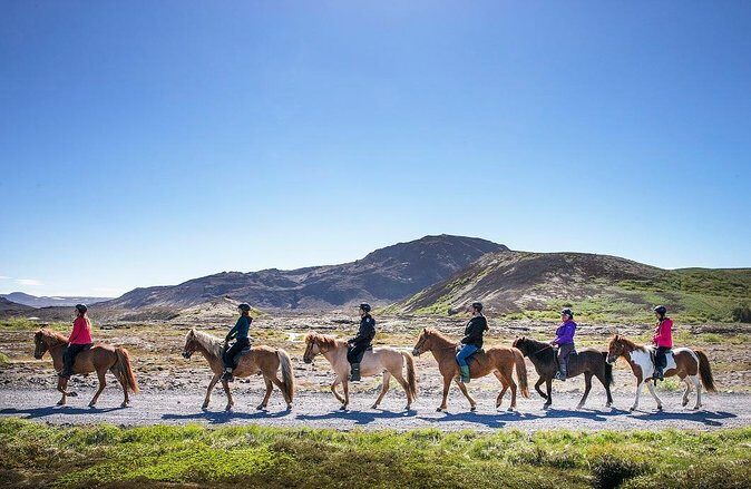 Icelandic Horseback Riding Tour from Reykjavik - A Deep Dive into the Icelandic Horseback Riding Experience
