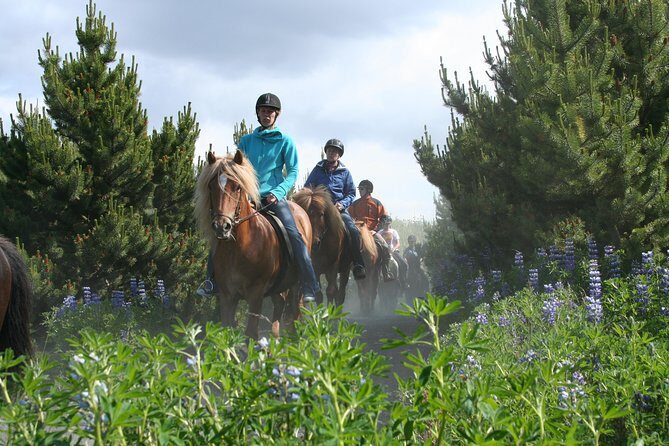 Icelandic Horseback Riding Tour from Reykjavik - Frequently Asked Questions