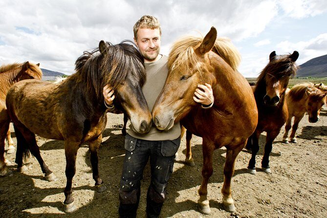 Icelandic Horseback Riding Tour Including Pick Up from Reykjavik - The Experience: What to Expect
