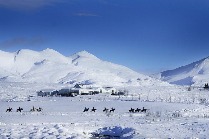 Icelandic Horseback Riding Tour Including Pick Up from Reykjavik - Who Would Love This Tour?