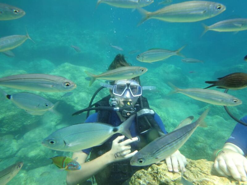 Icmeler: Scuba Diving with a Qualified Instructor - Who Is This Tour Best For?