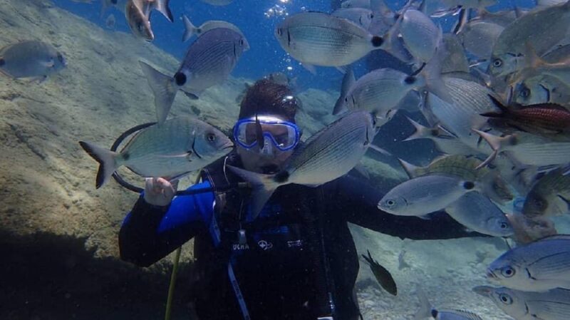 Icmeler: Scuba Diving with a Qualified Instructor - The Sum Up