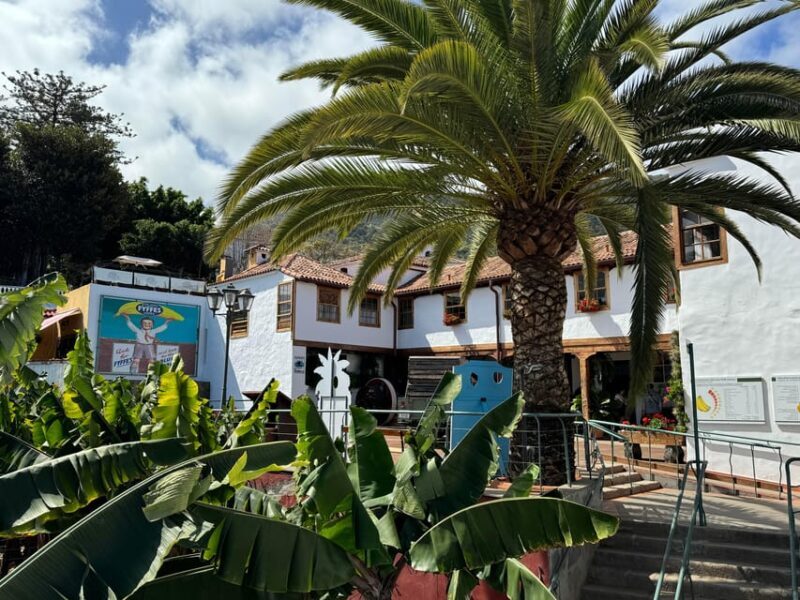 Icod de los Vinos: Casa del Plátano Entry Ticket - Shopping and Gourmet Products