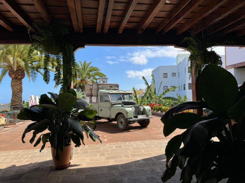 Icod de los Vinos: Casa del Plátano Entry Ticket - Reviews and Real Traveler Insights