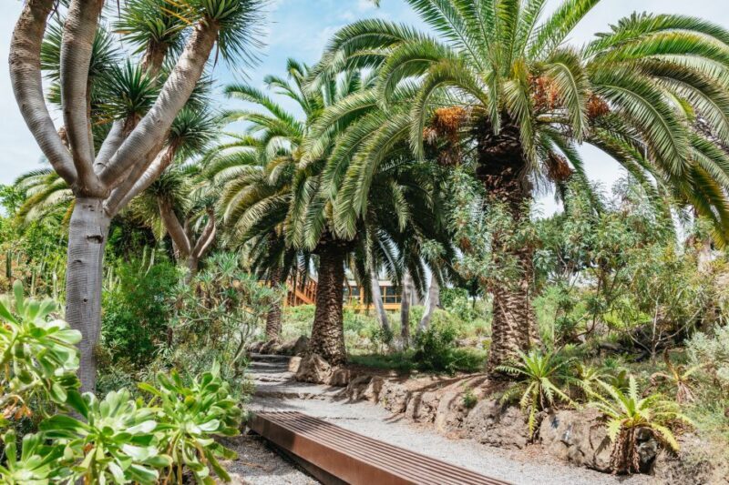 Icod de los Vinos: Dragon Tree & Botanical Garden Ticket - FAQ