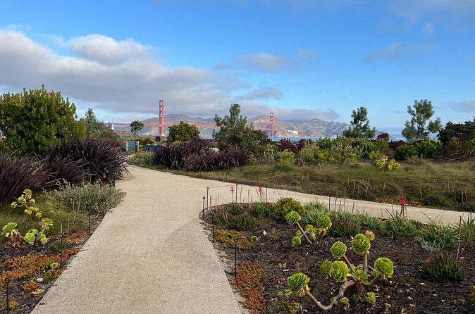 Iconic San Francisco Urban Hiking Tour - Who Will Benefit Most?
